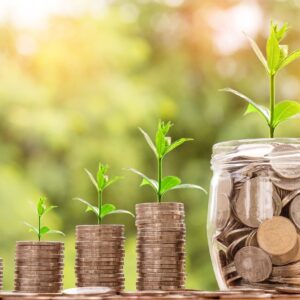 Align with Financial Abundance - Audio